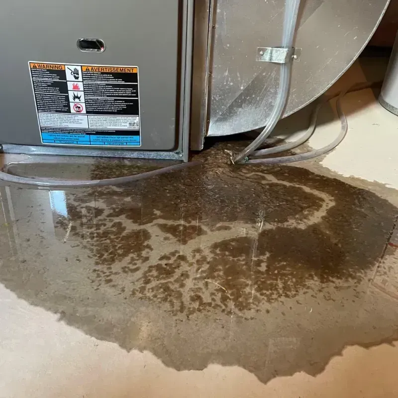 Appliance Leak Cleanup in Sampson County, NC